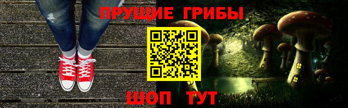 Алексин  Псилоцибиновые грибы прущие грибы  Вход с VPN  Галлюциногенные грибы Psilocybe 